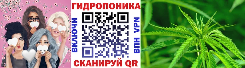 МАРИХУАНА план  omg   Боготол 
